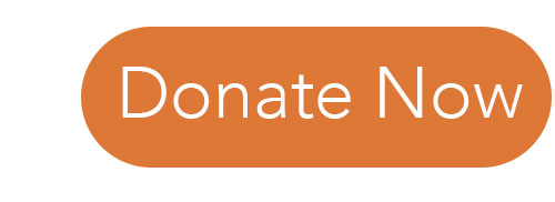 Button - Donate Now Button - Donate Now